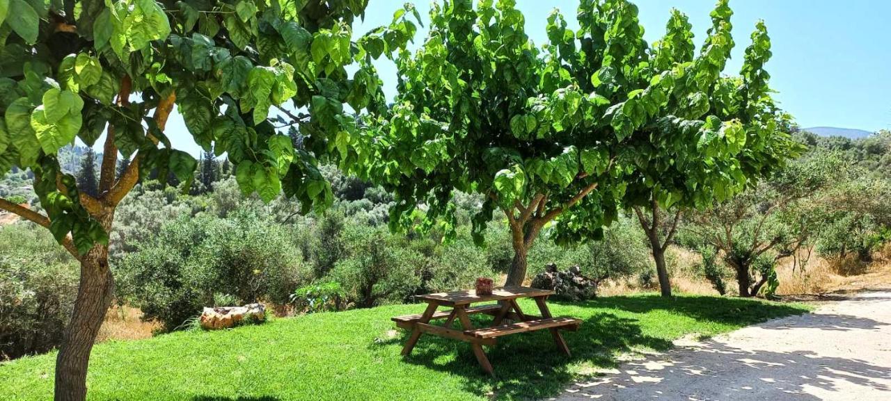 Lily Home_Lefkada ~ Private Country House Kondaraíni 외부 사진