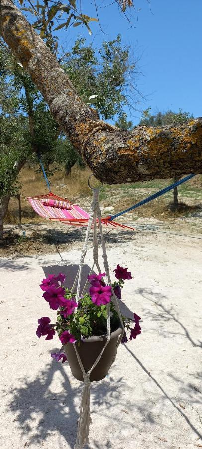 Lily Home_Lefkada ~ Private Country House Kondaraíni 외부 사진