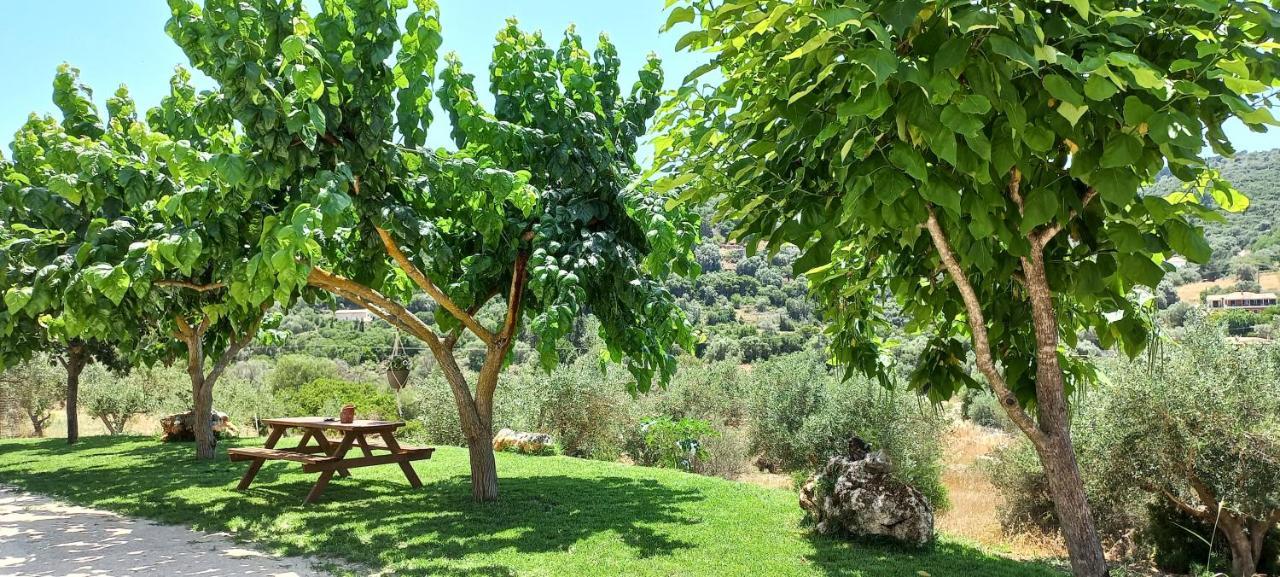 Lily Home_Lefkada ~ Private Country House Kondaraíni 외부 사진