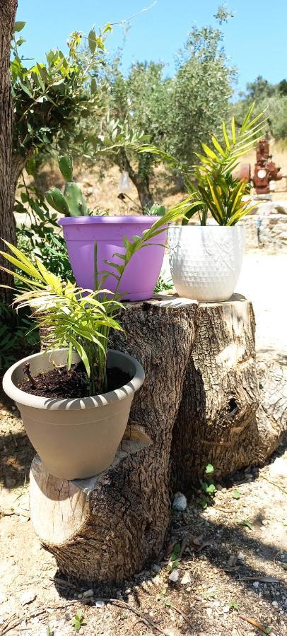 Lily Home_Lefkada ~ Private Country House Kondaraíni 외부 사진