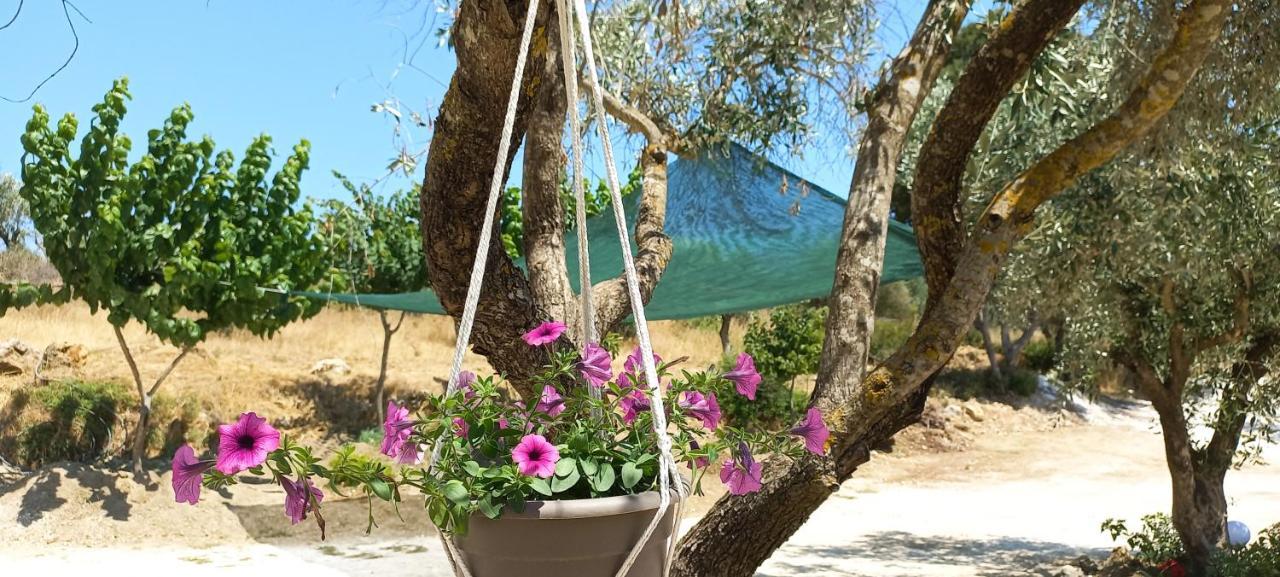 Lily Home_Lefkada ~ Private Country House Kondaraíni 외부 사진