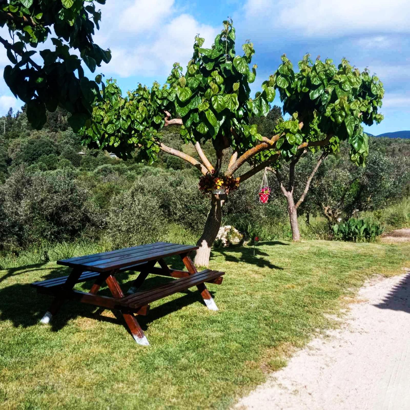 Lily Home_Lefkada ~ Private Country House Kondaraíni 외부 사진