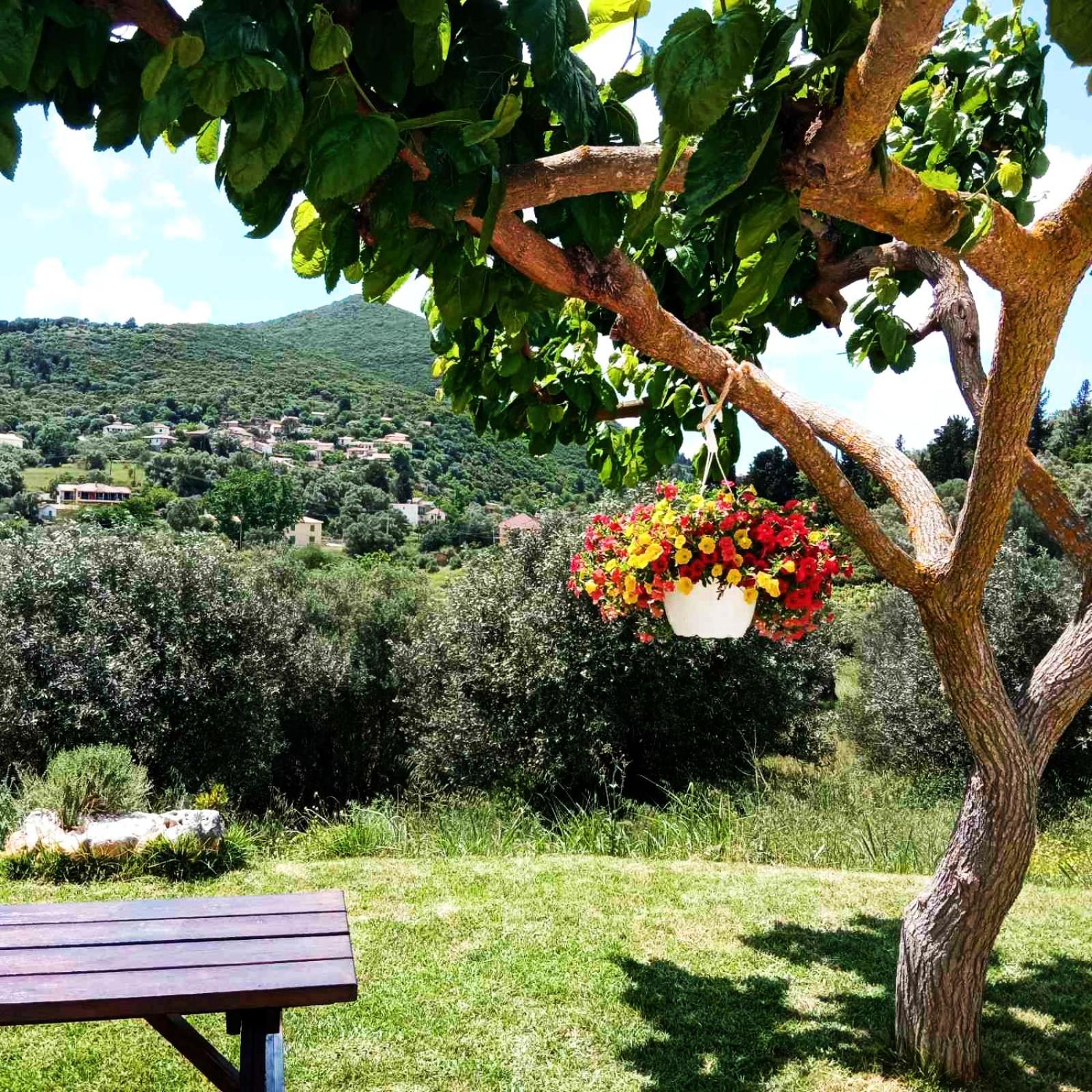 Lily Home_Lefkada ~ Private Country House Kondaraíni 외부 사진